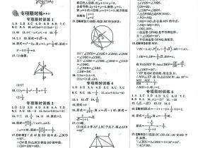 【寒假作业】数学专项限时训练1-20参考答案（附周测试卷及答案）