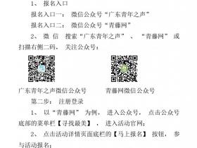 关于开展2017年第二届寻找“最美南粤少年”活动的通知