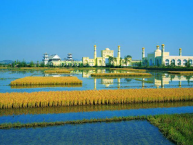 错过了最美的年华,留存的便是心伤