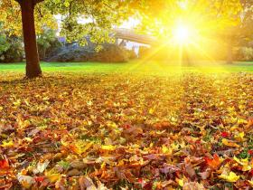 十九大随感(2)观代表风采录